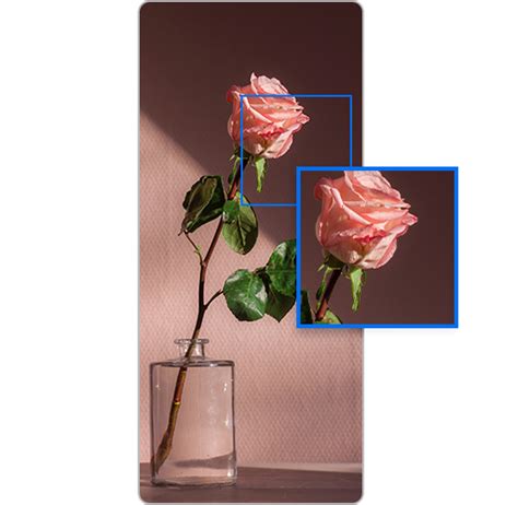 Poor picture quality when sharing pictures to Instagram | Samsung India