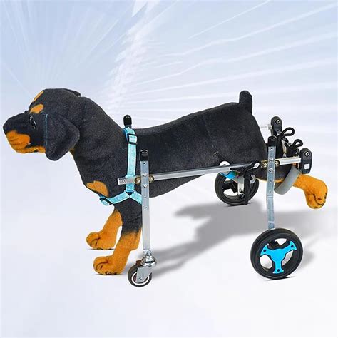 Amazon.com: 4 Wheel Dog Wheel Chair Leg Brace Adjustable, Full Support ...