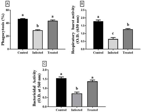 Comparison of Immune Response of Litopenaeus vannamei Shrimp Naturally ...
