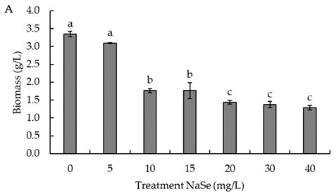 Enhancing Selenium Accumulation in Rhodotorula mucilaginosa Strain 6S ...