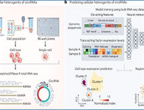 RNA-Seq Analysis Tutorial 的图像结果