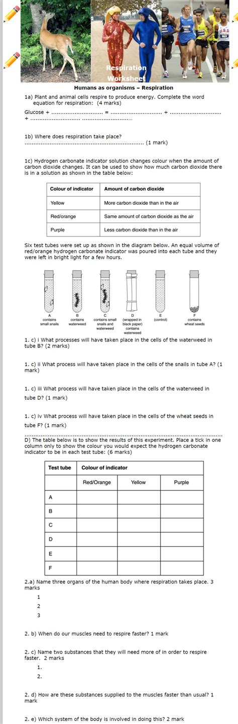 Free Science Lessons Respiration 的图像结果
