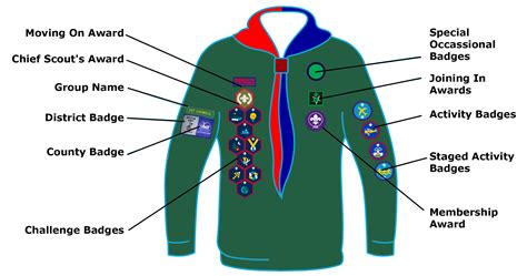 What Are All The Girl Scout Ranks at Ricardo Watkins blog