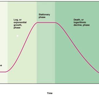 Image result for Multiple-Step Growth Curve