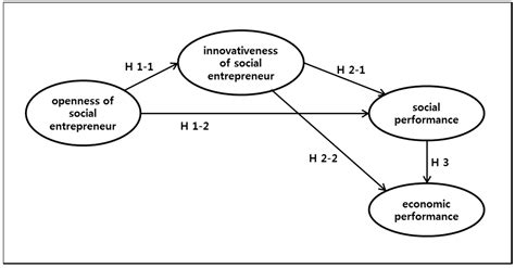 How Social Entrepreneurs Affect Performance of Social Enterprises in ...