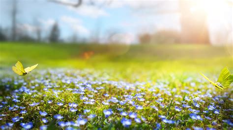 Image result for Spring Weather Meaning