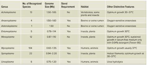 Structure and Reproduction of Mycoplasma - Botany Optional for UPSC PDF ...