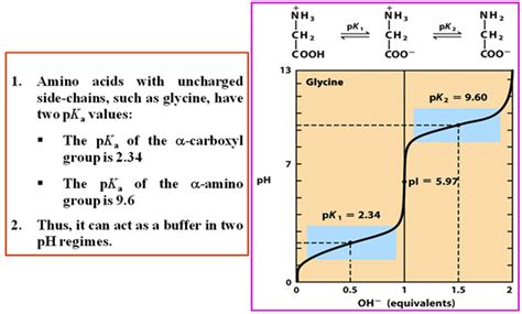 Amino Acids Can Act as Buffers