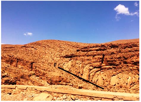 The Field Skills’ Development through Teaching Environmental ...