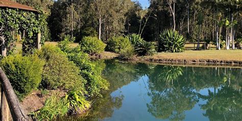 Peregian Beach Tourism (2023): Best of Peregian Beach, Australia ...