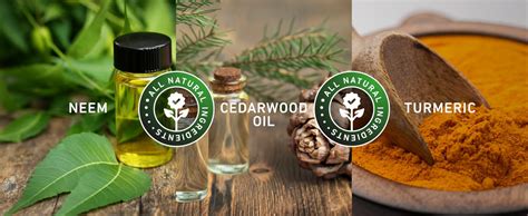 Svish On The Go Anti-Chafing Roll On For Men (50 Ml) Reduces Inner ...