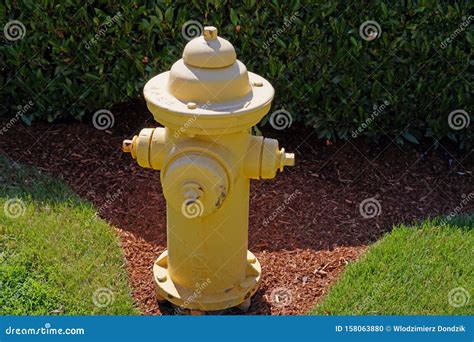 Yellow Fire Hydrant. a Fragment of the Garden Stock Photo - Image of ...