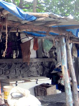 D'source Studying the Environment | Clay Animation Module - 4 | D ...