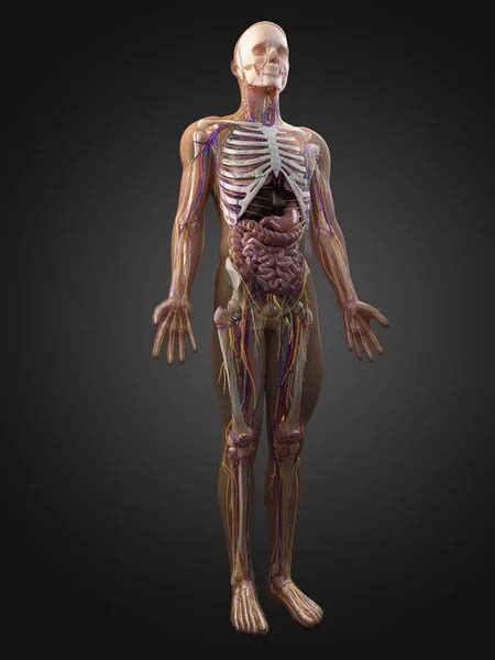 Image result for Anatomy of a Function in JavaScript