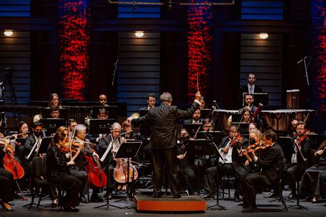 Home | Palm Beach Symphony