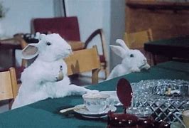 Image result for Cute Baby Rabbits GIF