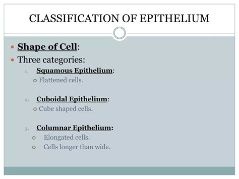 Basic Tissues 的图像结果
