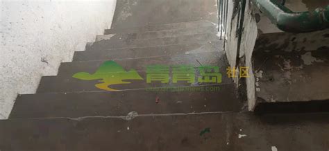永乐小区平台楼道下雨就是水帘洞积水成渊-青青岛社区