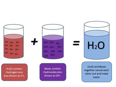 Image result for Neutralising Acids