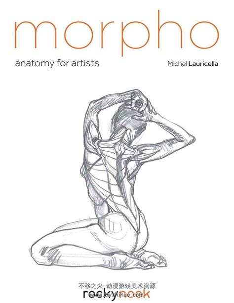 Morpho Problem 的图像结果