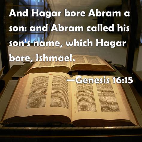 Genesis 16:15 And Hagar bore Abram a son: and Abram called his son