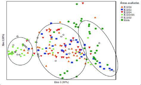 Image result for Multivariate Classification