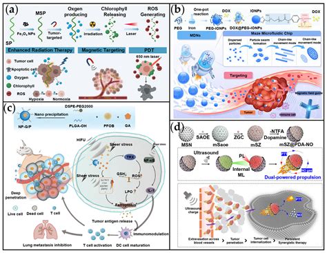 Micro/Nano-Motors for Enhanced Tumor Diagnosis and Therapy