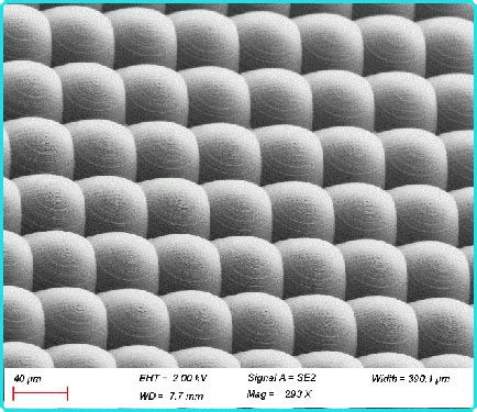 Image result for Two-Photon Polymerization
