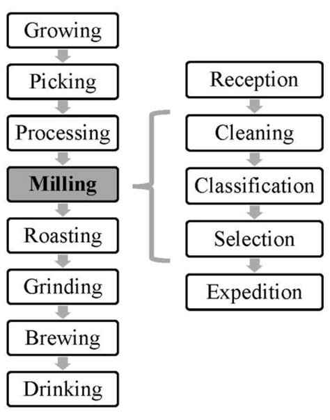 Microbial Contamination in the Coffee Industry: An Occupational Menace ...