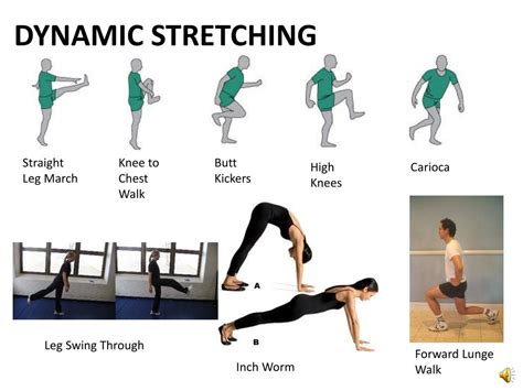 Image result for Static Stretch Examples