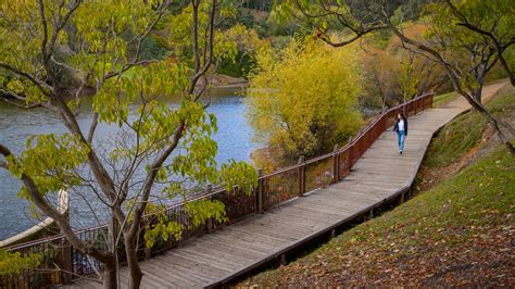 Are Dogs Allowed In Mount Lofty Botanic Gardens
