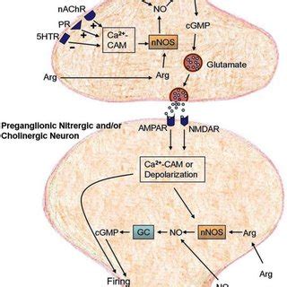 Image result for DFA Injective