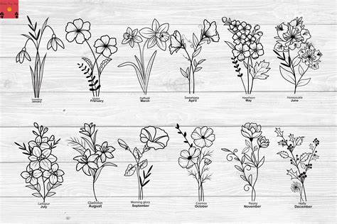 Month Of May Flower Drawings