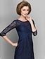 Sheath / Column Mother of the Bride Dress Scoop Neck Knee Length Lace 3 ...