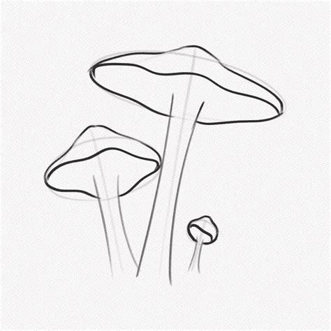 Mushroom Drawing