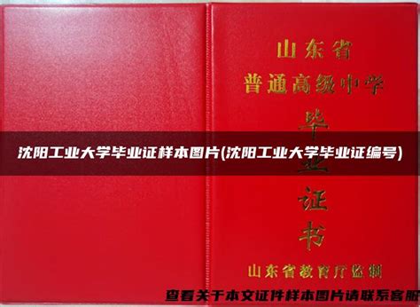 沈阳工业大学历届毕业证样本-胡杨树样本网