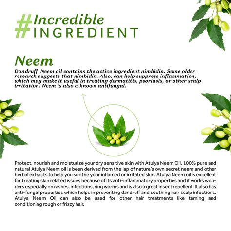 Buy ATULYA NEEM COLDPRESS OIL 200 ML Online & Get Upto 60% OFF at PharmEasy