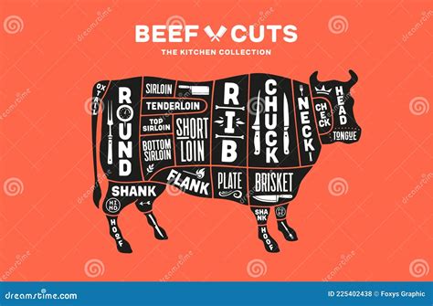 Cow, Beef. Scheme, Diagram, Chart Pork, Butcher Guide Stock Vector - Illustration of vector ...