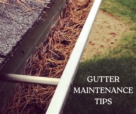 Image result for Gutter Maintenance Tips