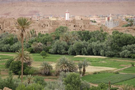 How Urban Agriculture in Morocco is Tackling Food Insecurity - The Borgen Project