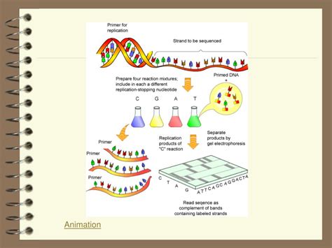 Biotechnology Process 的图像结果