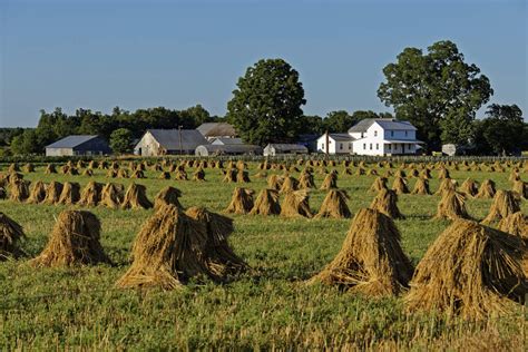 Amish Mennonite of Tennessee Coming Soon - Amish and Mennonite of Tennessee