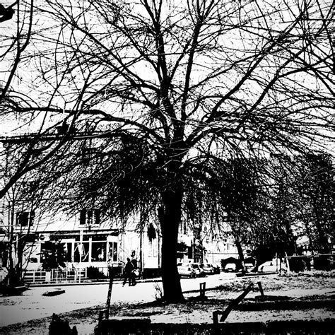 Black Metal Veins - Single” álbum de Noirr en Apple Music