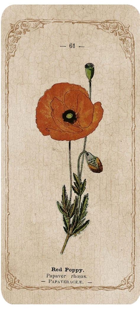 Image result for Free Bookmarks