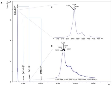 Aligning Post-Column ESI-MS, MALDI-MS, and Coagulation Bioassay Data of ...