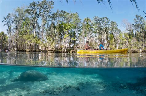 Explore the Waterways of Crystal River, Florida - Outside Online