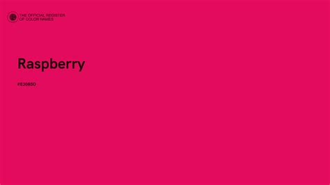 Raspberry Color 的图像结果