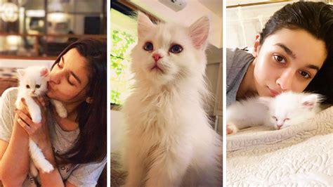 The cutest pictures of Alia Bhatt's cat Edward Bhatt | Vogue India