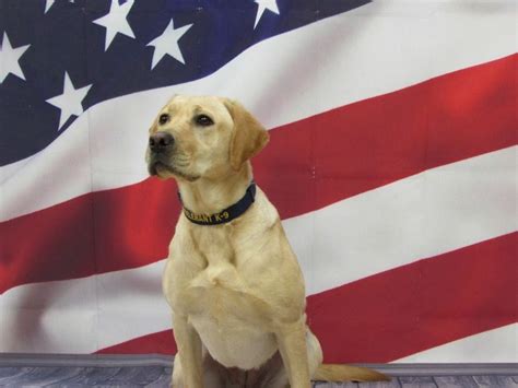 TBI K9 Meet & Greet at Alcatraz East, Alcatraz East, Pigeon Forge, 16 ...