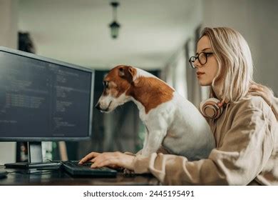 Image result for People Working with Computer Coding